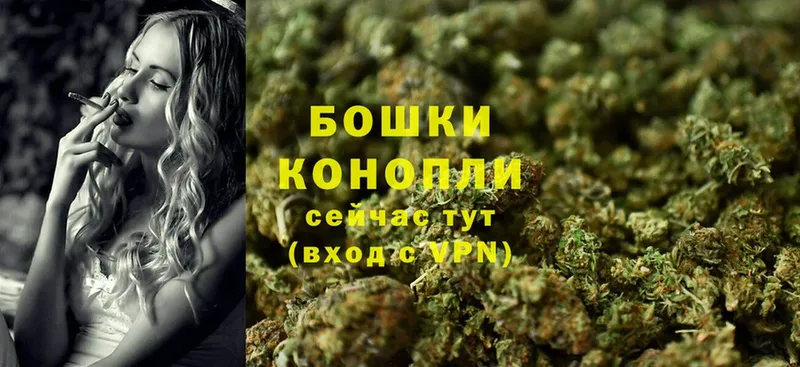 купить наркотик  Истра  Конопля SATIVA & INDICA 